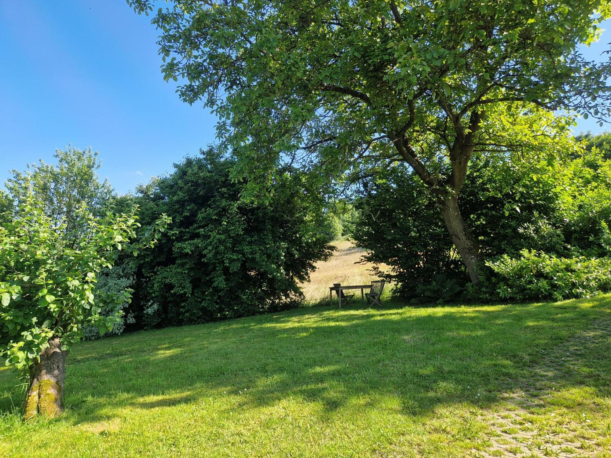 Ferienhaus Berghausen Am Hennesee Meschede Buitenkant foto